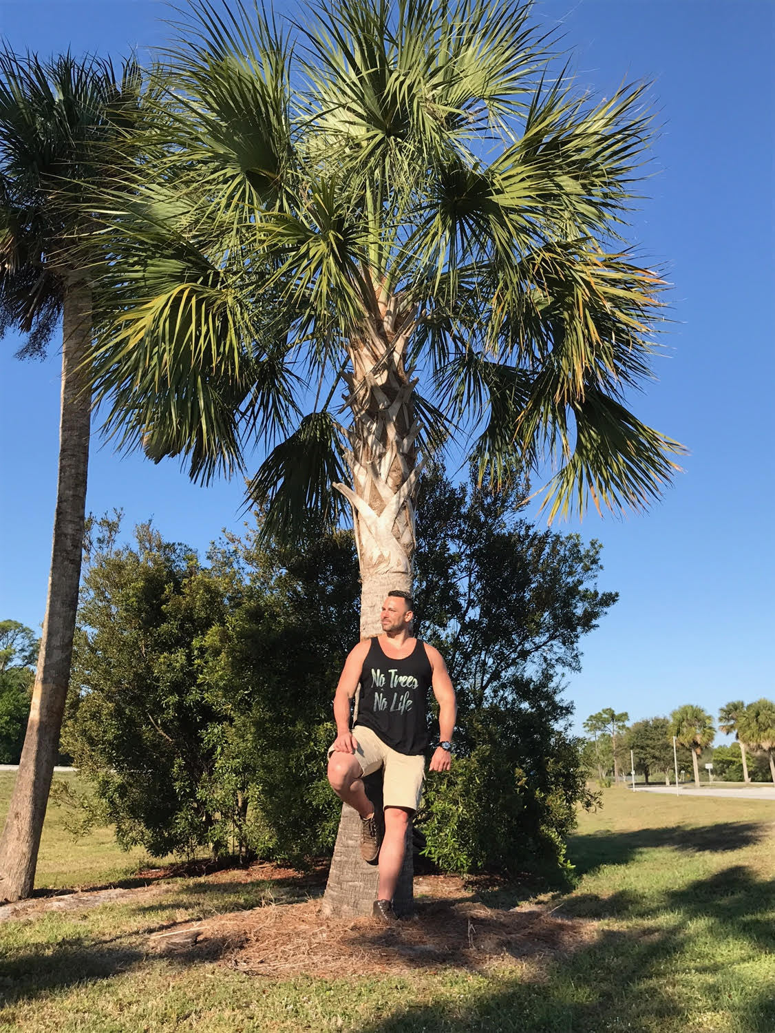 Forest Soul of the Week