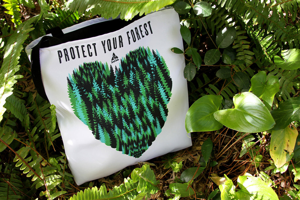Protect Your Forest